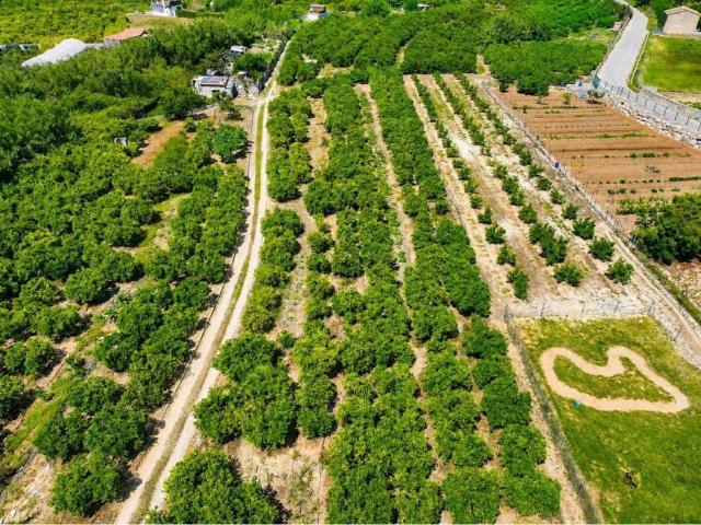 Terreno en Venta en Pego