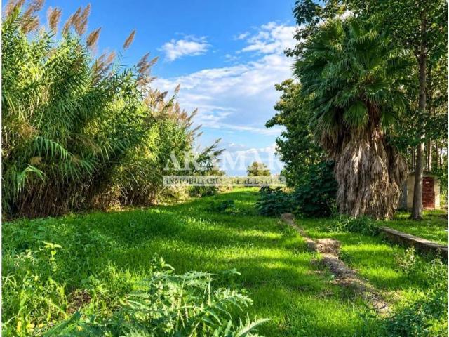 Terreno en Venta en Pego