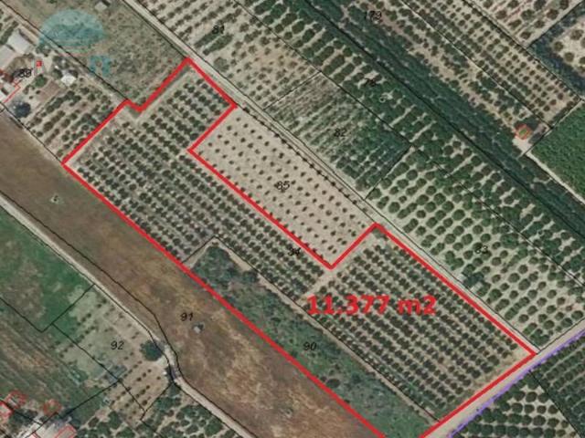 Terreno en Venta en Pego