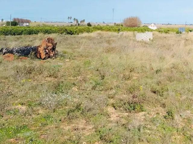 Terreno en Venta en Pego