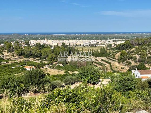 Terreno en Venta en Pego