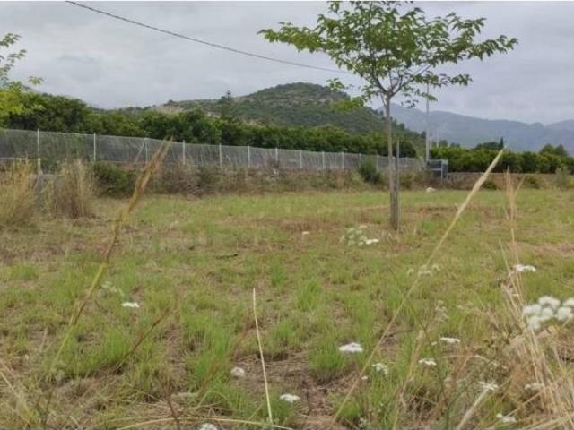 Terreno en Venta en Pego