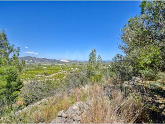Terreno en Venta en Pego