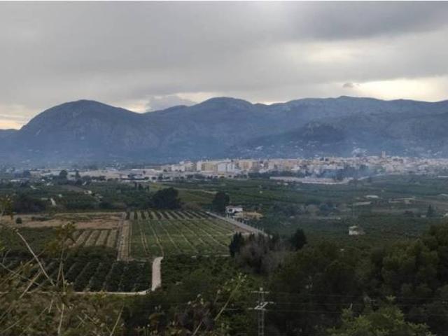 Terreno en Venta en Pego