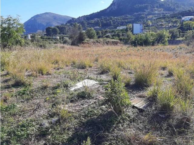 Terreno en Venta en Pego