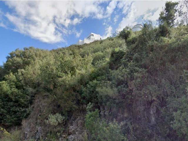 Terreno en Venta en Pego