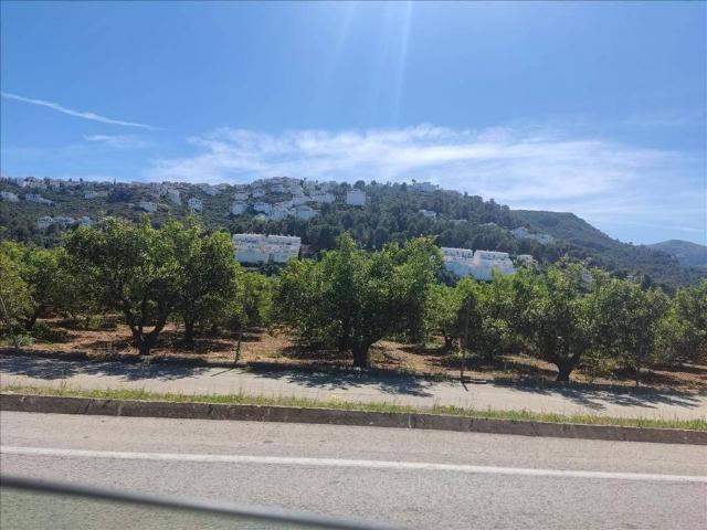 Terreno en Venta en Pego