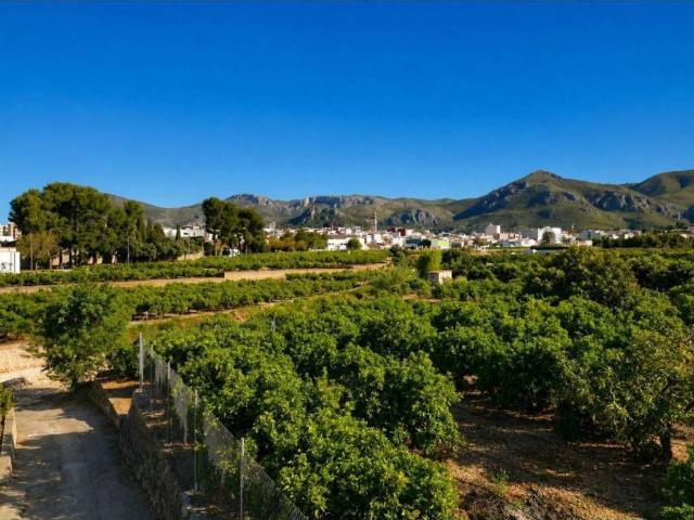 Terreno en Venta en Pego