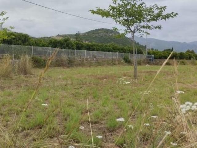 Terreno en venta en Pego, Comunidad valenciana