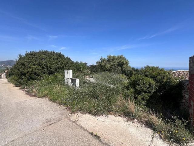 Terreno en venta en Pego, Urbanizacion arboleda