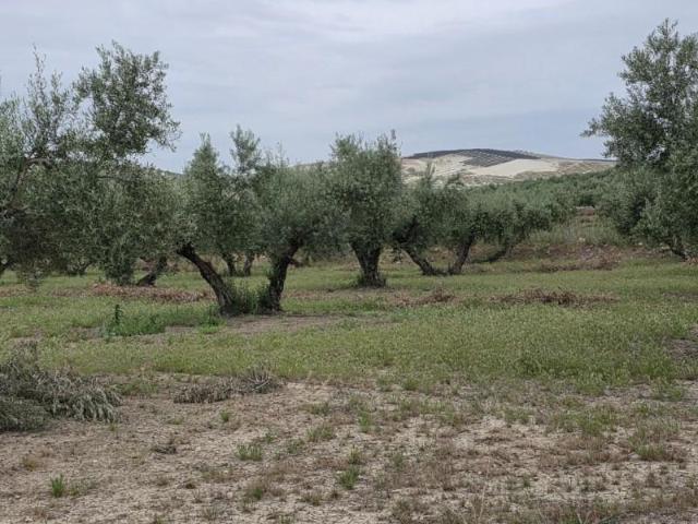 Terreno en venta en Pegalajar, Pegalajar
