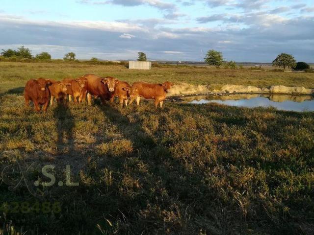 Terreno en venta en Pedanías de Cáceres