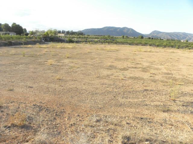 Terreno en venta en PEDANIAS Y NOROESTE