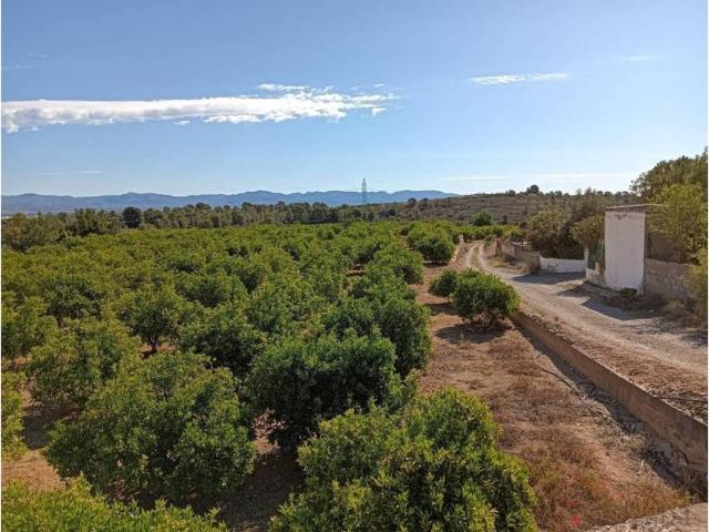 Terreno en Venta en Pedralba
