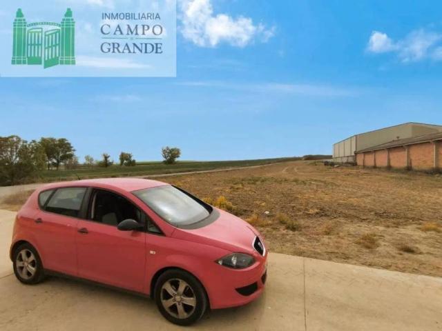 Terreno en Venta en Pedraza de Campos