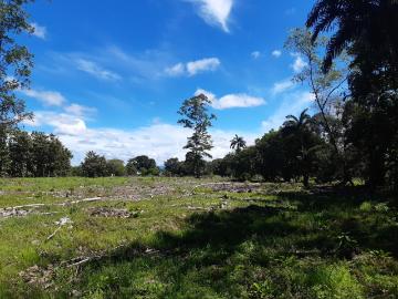 Terreno en Venta en Pedregal, Boquerón