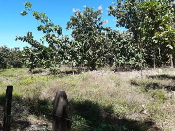 Terreno en Venta en Pedregal Panamá 32767 m2
