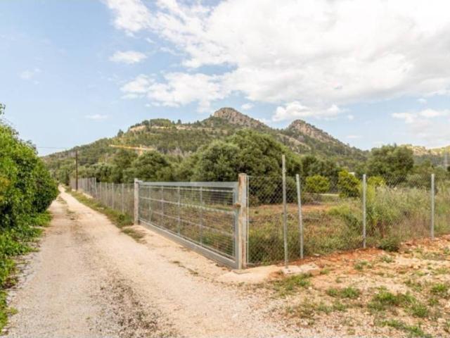 Terreno en Venta en Pedreguer