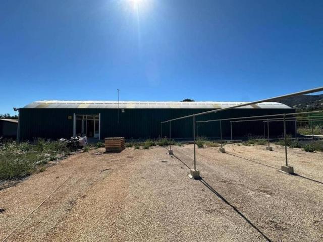 Terreno en Venta en Pedreguer