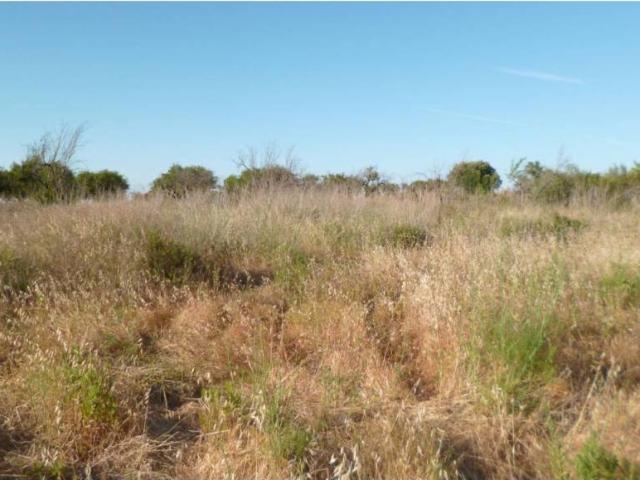Terreno en Venta en Pedreguer
