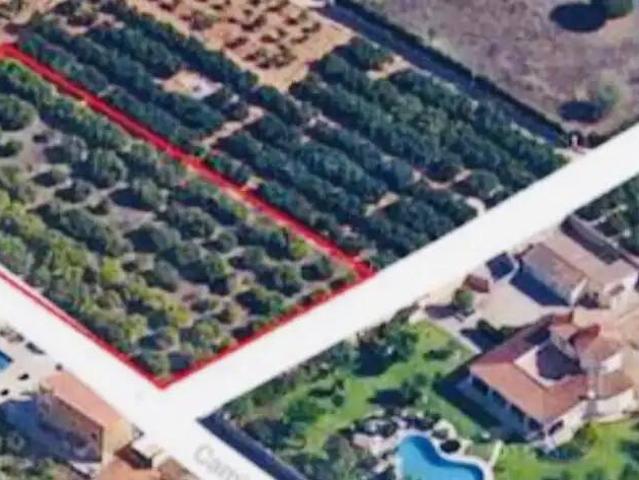 Terreno en Venta en Pedreguer