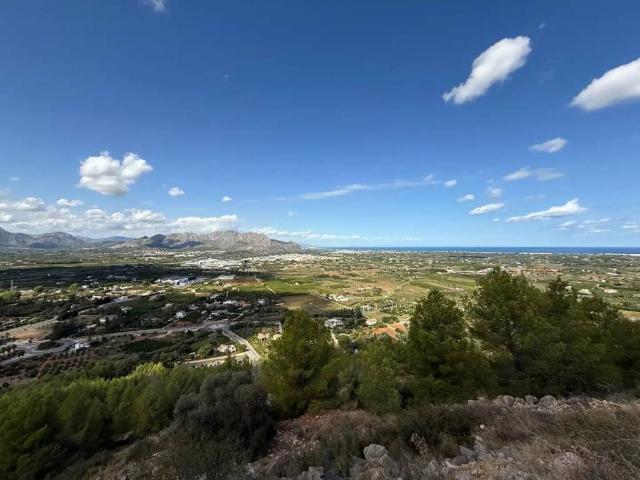 Terreno en Venta en Pedreguer