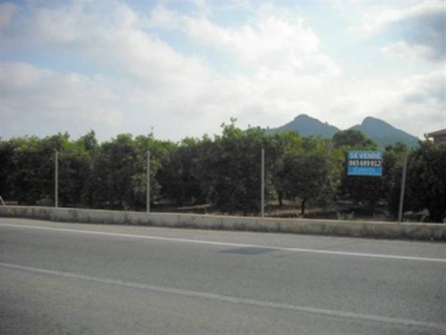 Terreno en Venta en Pedreguer