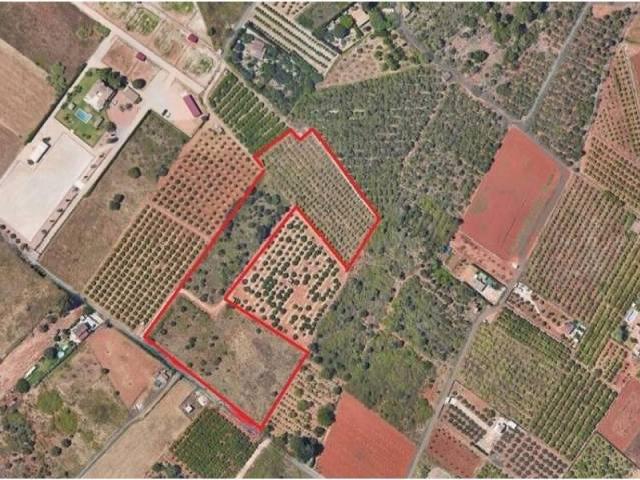 Terreno en Venta en Pedreguer