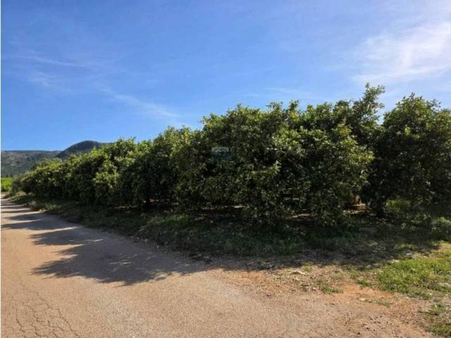 Terreno en Venta en Pedreguer