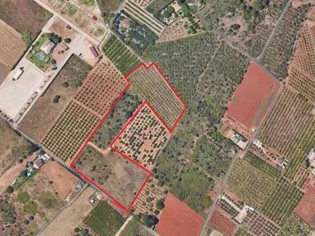 Terreno en Venta en Pedreguer