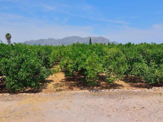 Terreno en venta en Pedreguer, Centro