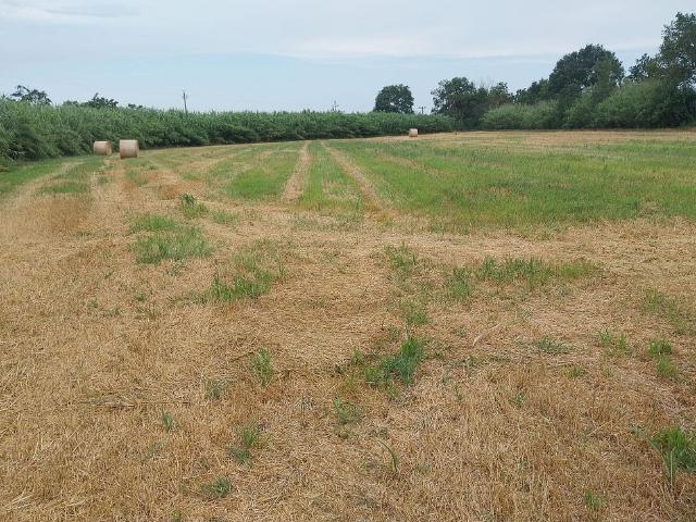 Terreno en venta en Pedret i Marzà, de 10.000 m² por 46.000