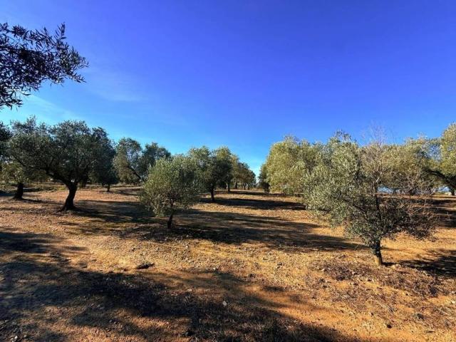 Terreno en Venta en Pedret i Marzà