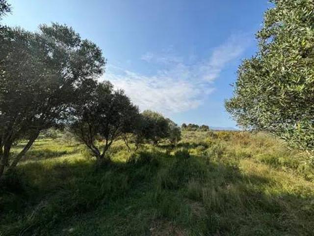Terreno en Venta en Pedret i Marzà