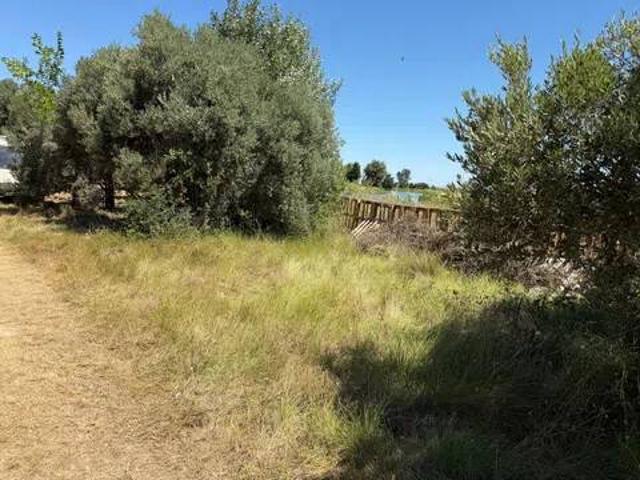 Terreno en Venta en Pedrola