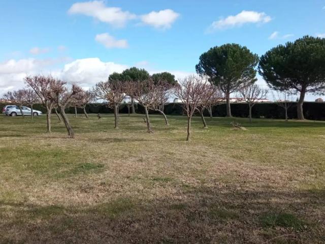 Terreno en Venta en Pelabravo
