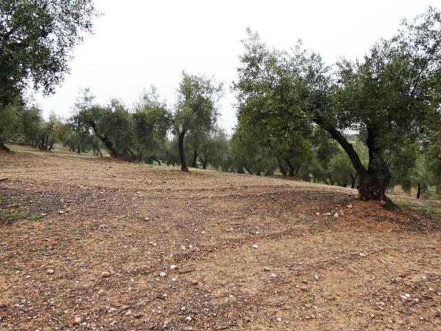 Terreno en venta en Peligros, Peligos