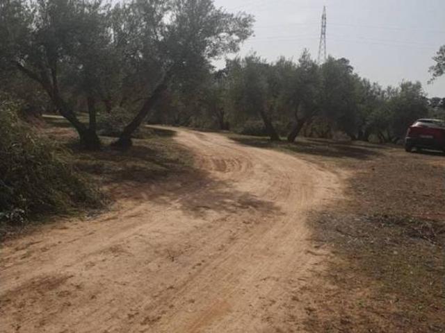 Terreno en Venta en Peligros