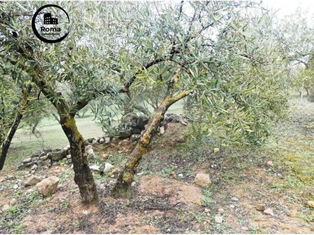 Terreno en Venta en Peligros