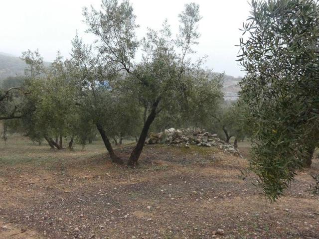 Terreno en Venta en Peligros