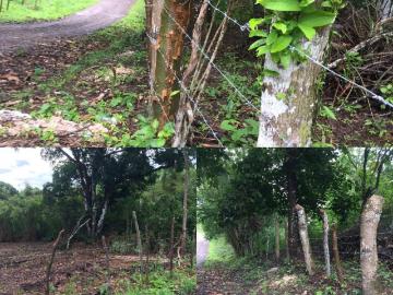 Terreno en Venta en Penonomé Pajonal Coclé
