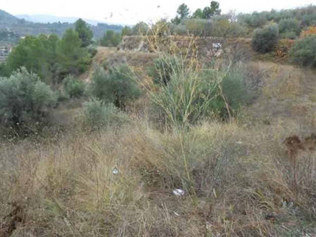 Terreno en Venta en Penàguila