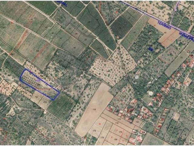 Terreno en Venta en Peníscola Peñíscola