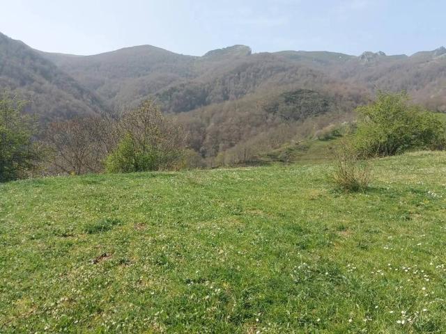 Terreno en Venta en Pesaguero