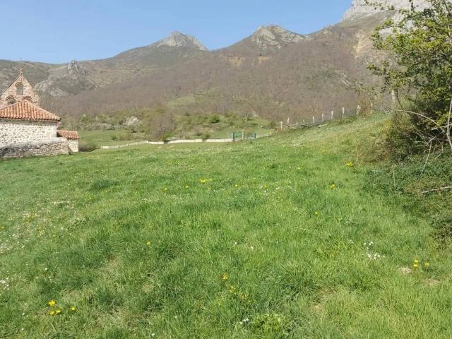 Terreno en Venta en Pesaguero