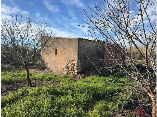 Terreno en Venta en Perafort