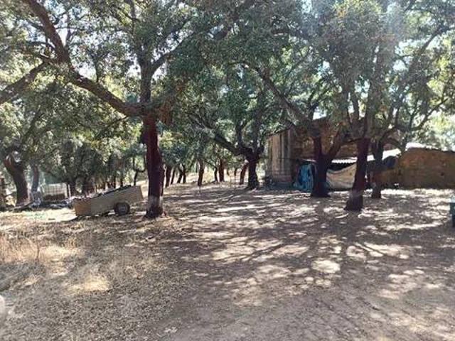 Terreno en Venta en Perales del Puerto