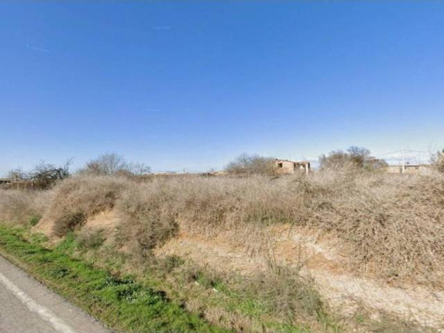 Terreno en Venta en Peralta de Alcofea