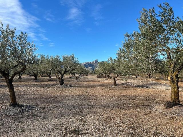 Terreno en venta en Perelló, el Tar, de 11.229 m² por 35.000