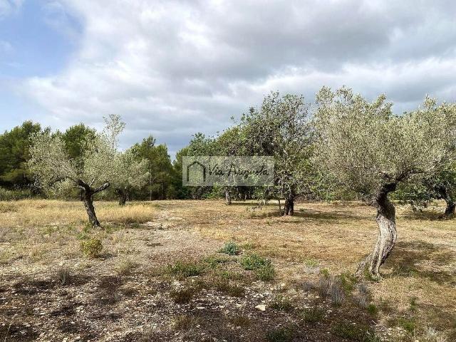 Terreno en venta en Perelló, el Tar, de 31.922 m² por 55.000